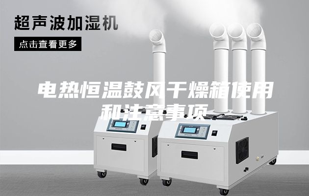 电热恒温鼓风干燥箱使用和注意事项