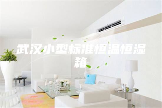 武汉小型标准恒温恒湿箱