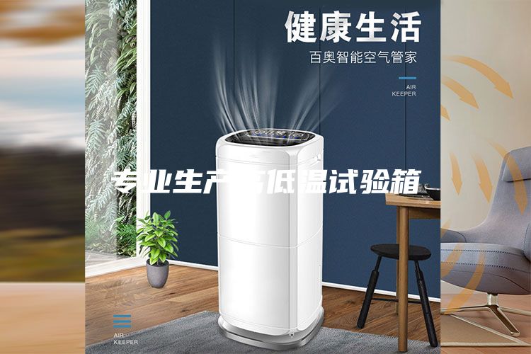 专业生产高低温试验箱