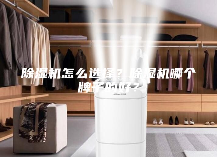 除湿机怎么选择？除湿机哪个牌子的好？