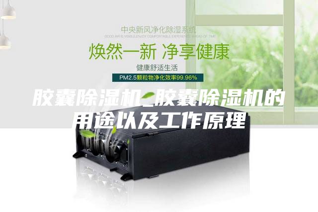胶囊除湿机_胶囊除湿机的用途以及工作原理