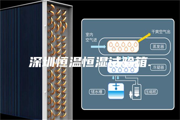 深圳恒温恒湿试验箱.