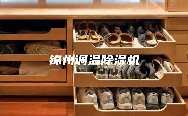 锦州调温除湿机
