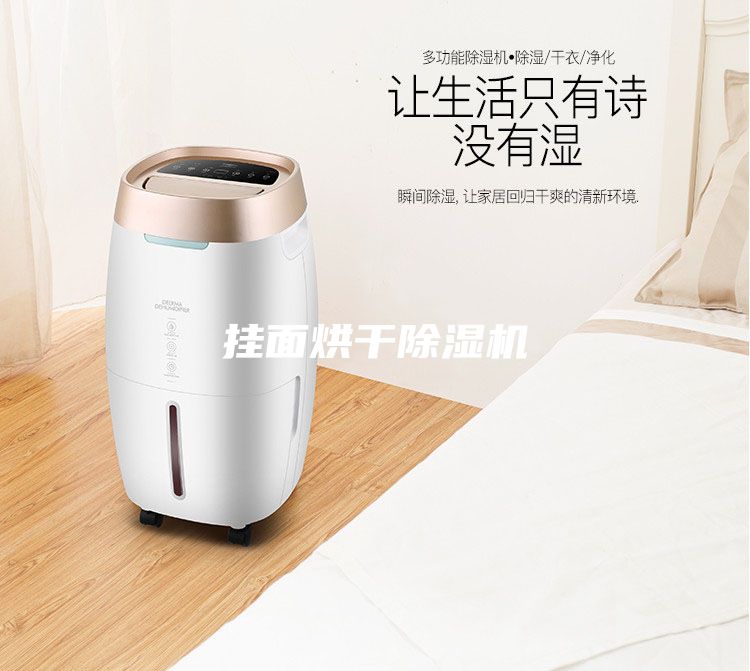 挂面烘干除湿机