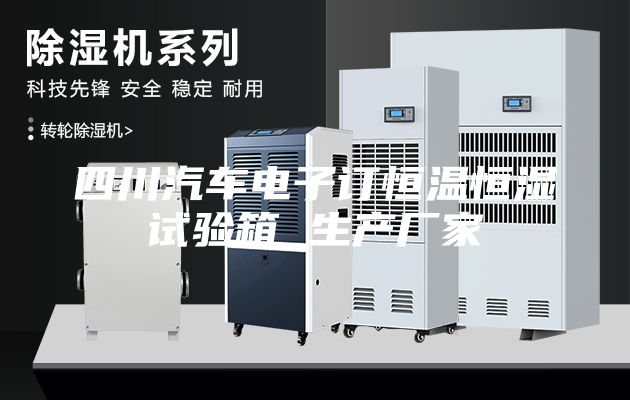 四川汽车电子订恒温恒湿试验箱 生产厂家