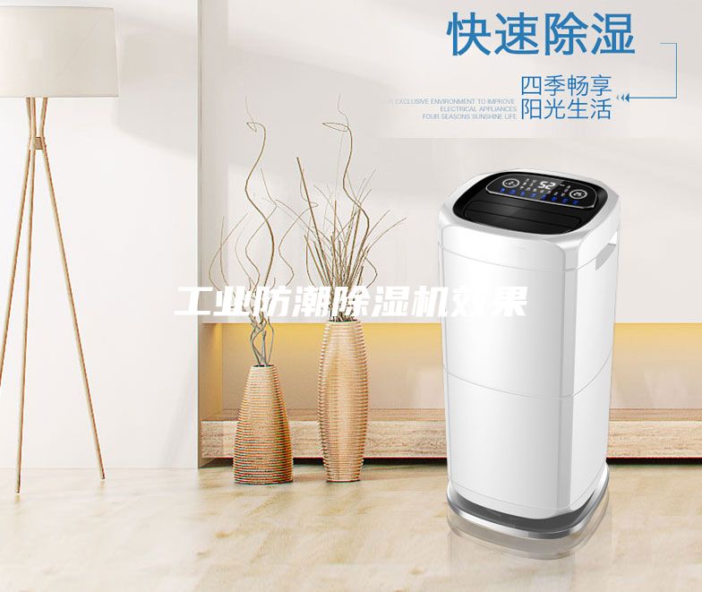 工业防潮除湿机效果