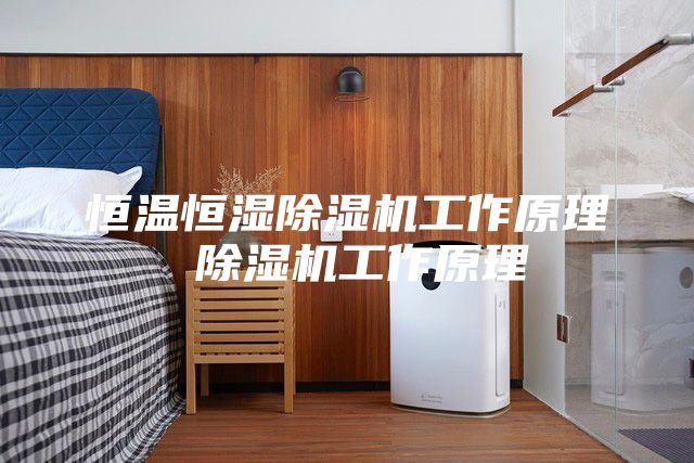 恒温恒湿除湿机工作原理 除湿机工作原理
