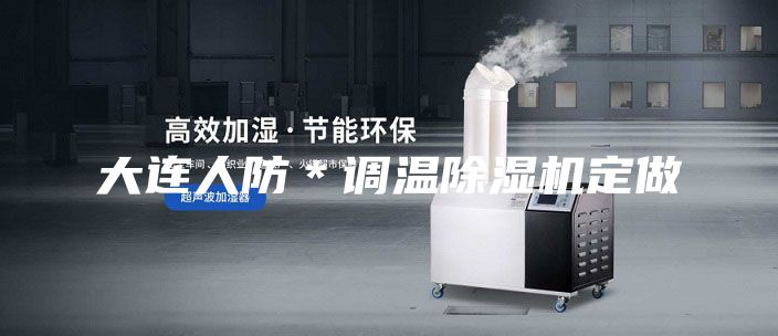 大连人防＊调温除湿机定做
