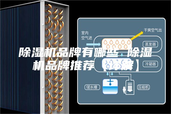 除湿机品牌有哪些 除湿机品牌推荐【详解】