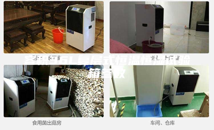 容积36L复层式恒温恒湿试验箱参数