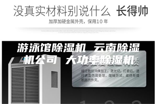 游泳馆除湿机 云南除湿机公司 大功率除湿机