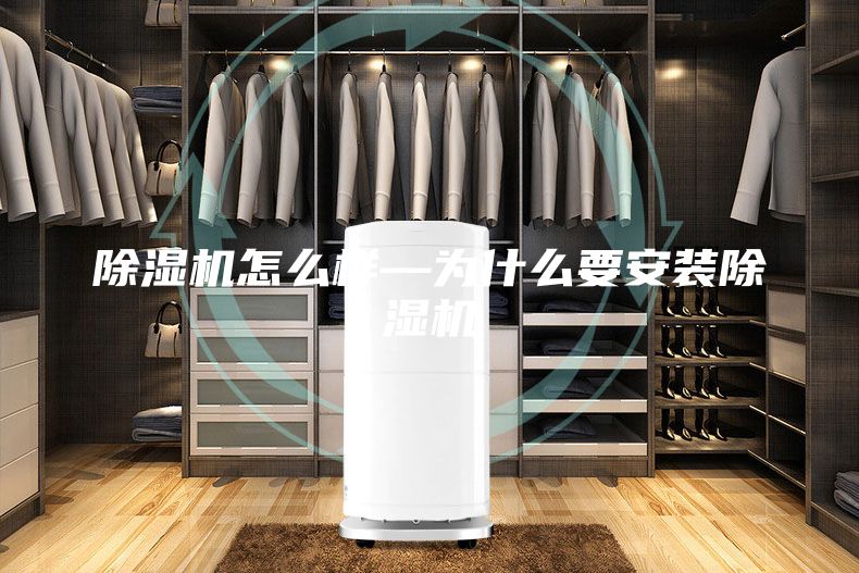 除湿机怎么样—为什么要安装除湿机