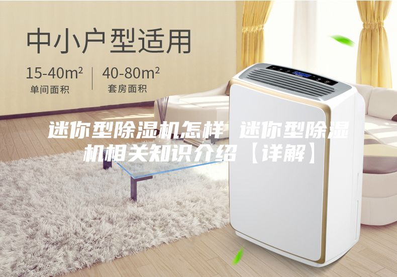 迷你型除湿机怎样 迷你型除湿机相关知识介绍【详解】