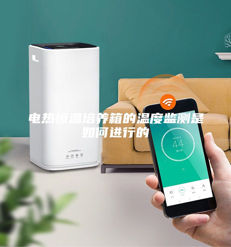 电热恒温培养箱的温度监测是如何进行的