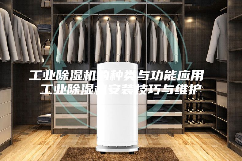 工业除湿机的种类与功能应用 工业除湿机安装技巧与维护
