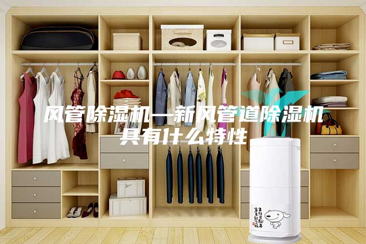 风管除湿机—新风管道除湿机具有什么特性