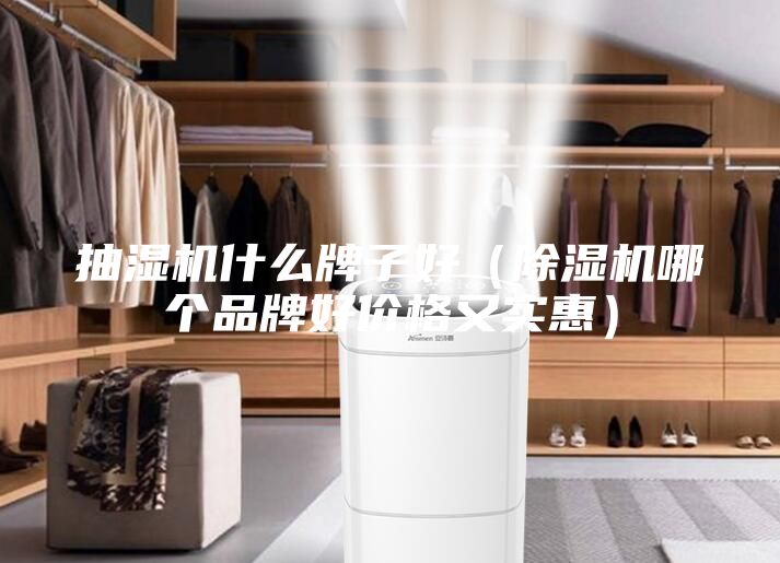 抽湿机什么牌子好（除湿机哪个品牌好价格又实惠）