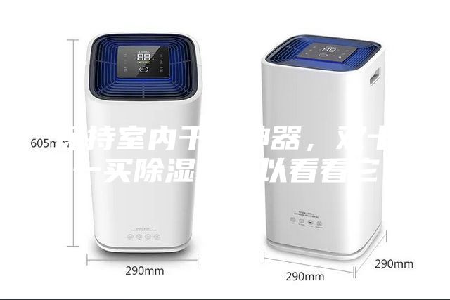 保持室内干爽神器，双十一买除湿机可以看看它