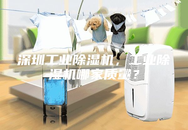 深圳工业除湿机，工业除湿机哪家质量？