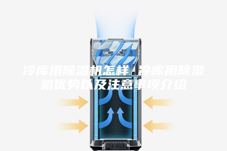 冷库用除湿机怎样 冷库用除湿机优势以及注意事项介绍