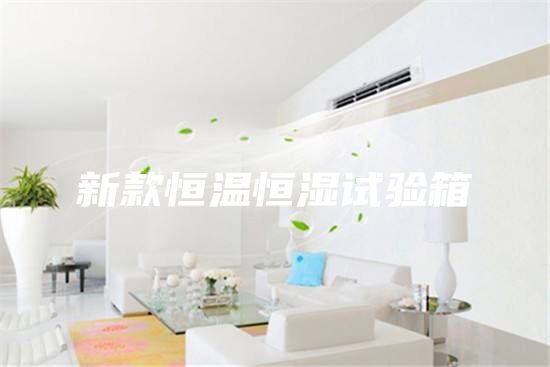 新款恒温恒湿试验箱