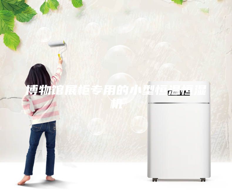 博物馆展柜专用的小型恒温恒湿机