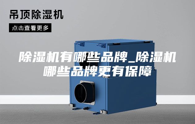 除湿机有哪些品牌_除湿机哪些品牌更有保障
