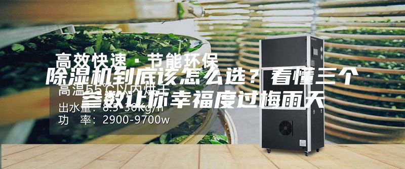 除湿机到底该怎么选？看懂三个参数让你幸福度过梅雨天