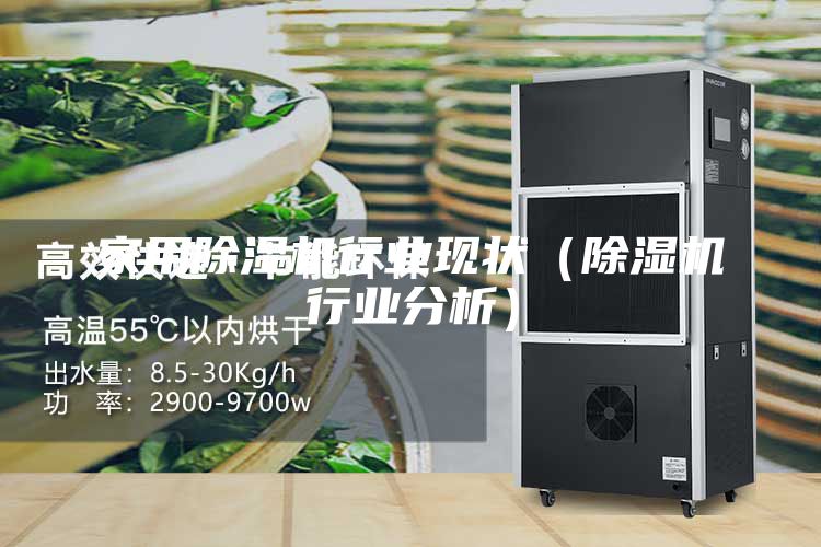 家用除湿机行业现状（除湿机行业分析）