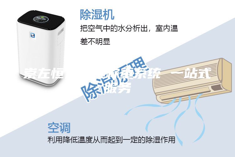 崇左恒温恒湿称重系统 一站式服务