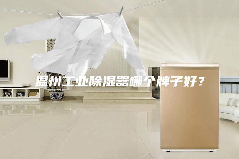 温州工业除湿器哪个牌子好？
