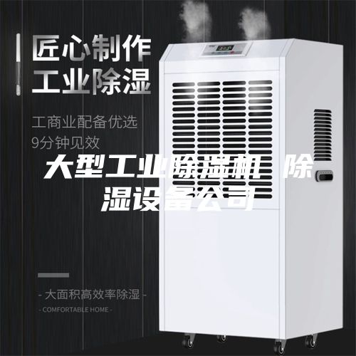 大型工业除湿机 除湿设备公司