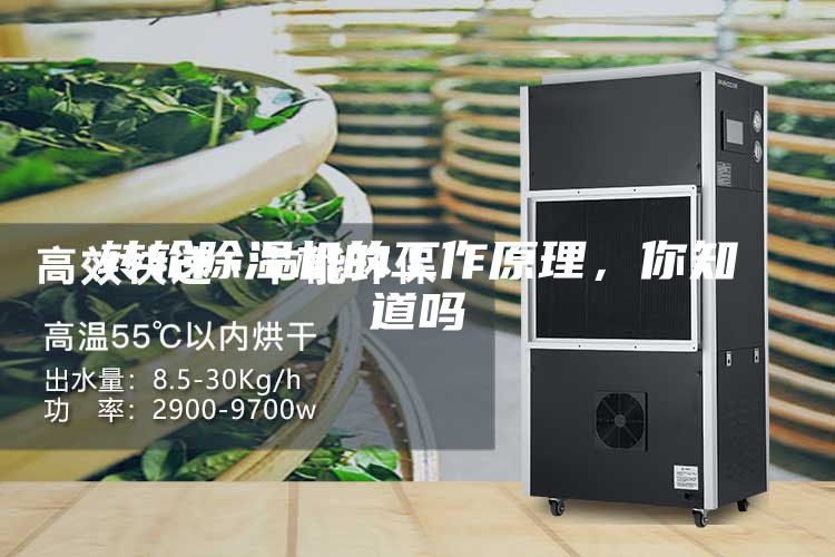 转轮除湿机的工作原理，你知道吗