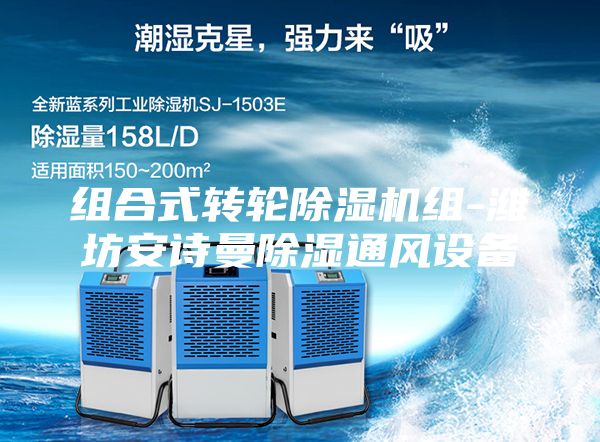 组合式转轮除湿机组-潍坊安诗曼除湿通风设备