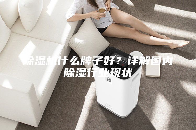 除湿机什么牌子好？详解国内除湿行业现状