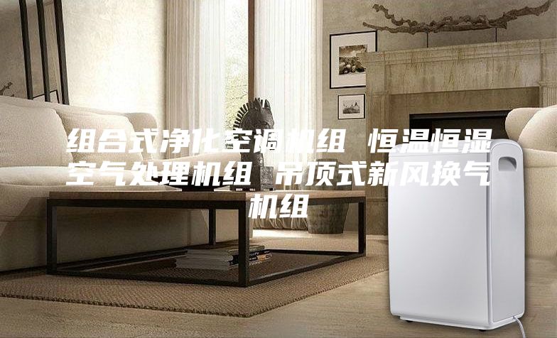 组合式净化空调机组 恒温恒湿空气处理机组 吊顶式新风换气机组