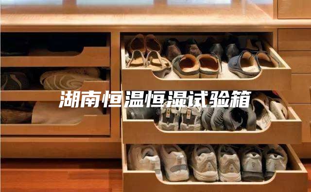 湖南恒温恒湿试验箱