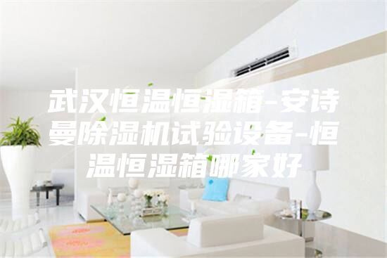 武汉恒温恒湿箱-安诗曼除湿机试验设备-恒温恒湿箱哪家好