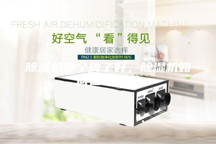 除湿机哪个牌子好，除湿机如何选型配置