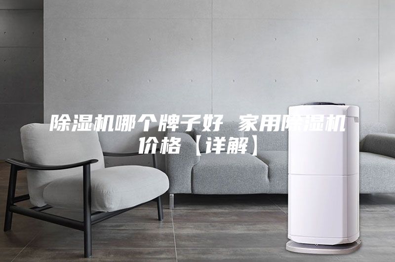除湿机哪个牌子好 家用除湿机价格【详解】