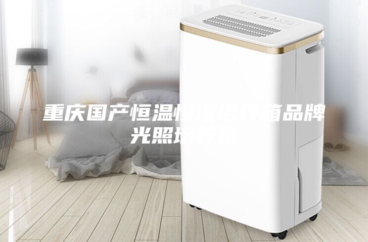 重庆国产恒温恒湿培养箱品牌光照培养箱
