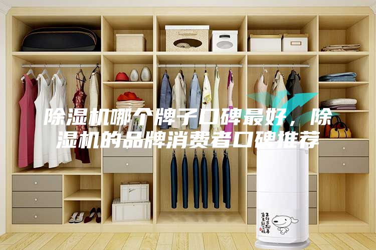 除湿机哪个牌子口碑最好，除湿机的品牌消费者口碑推荐