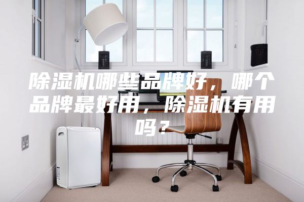 除湿机哪些品牌好，哪个品牌最好用，除湿机有用吗？