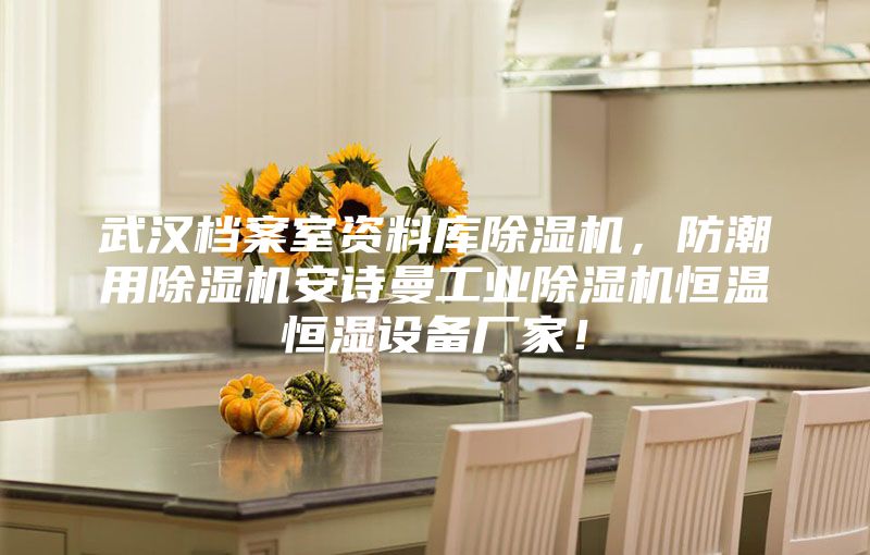 武汉档案室资料库除湿机，防潮用除湿机安诗曼工业除湿机恒温恒湿设备厂家！
