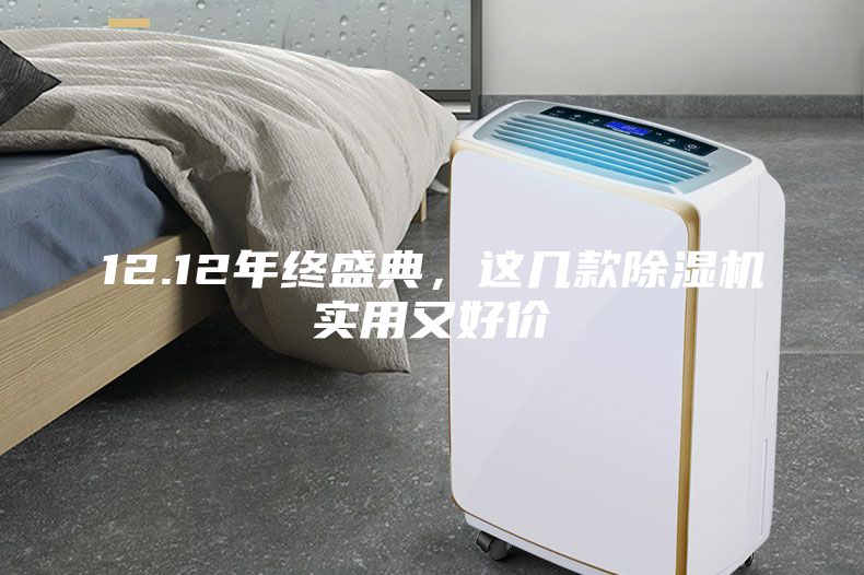 12.12年终盛典，这几款除湿机实用又好价