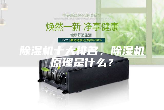 除湿机十大排名，除湿机原理是什么？