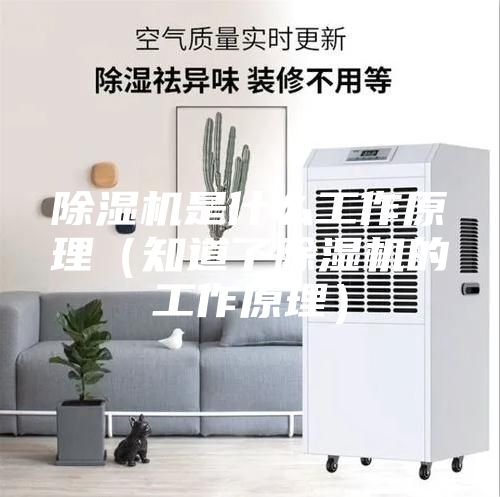除湿机是什么工作原理(知道了除湿机的工作原理)