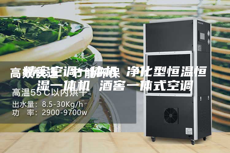 精密空调一体机 净化型恒温恒湿一体机 酒窖一体式空调