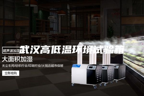 武汉高低温环境试验箱