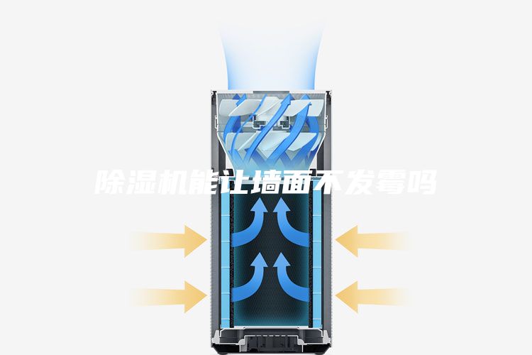 除湿机能让墙面不发霉吗